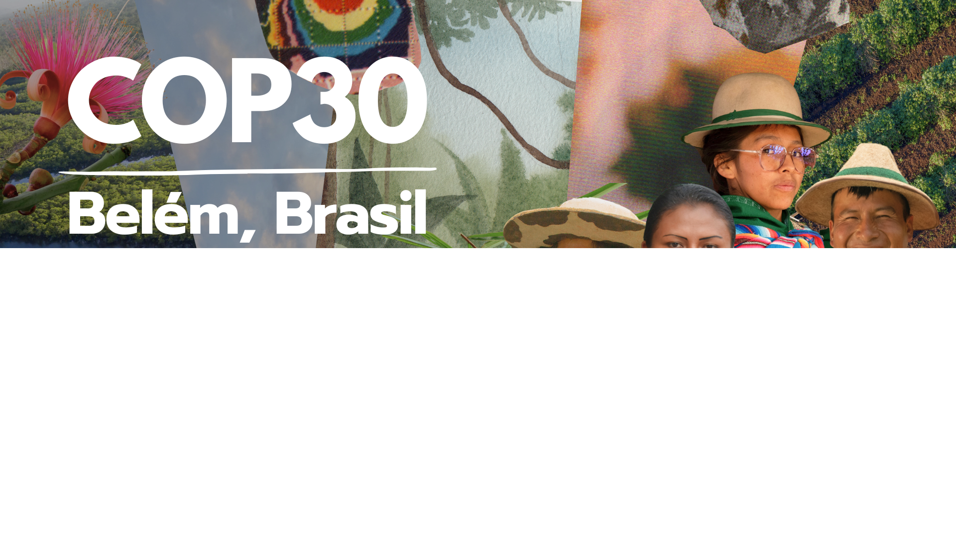 Wrong finance in a broken multilateral system: red flags from COP30-Belém