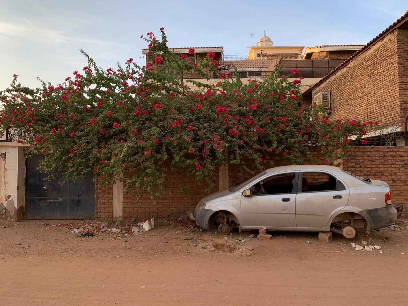 Returning to Sudan: Everything Changed Yet Remained Exactly the Same